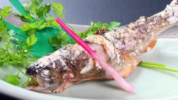 食事・飲み物 / 17