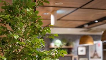 ロビーラウンジ / 16