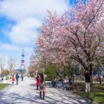 ジンギスカンも一緒に！札幌で桜の花見ができる場所7選