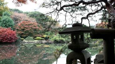 観光スポット / 15