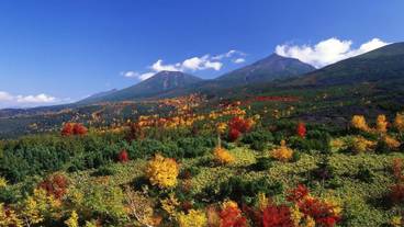 施設の敷地 / 18