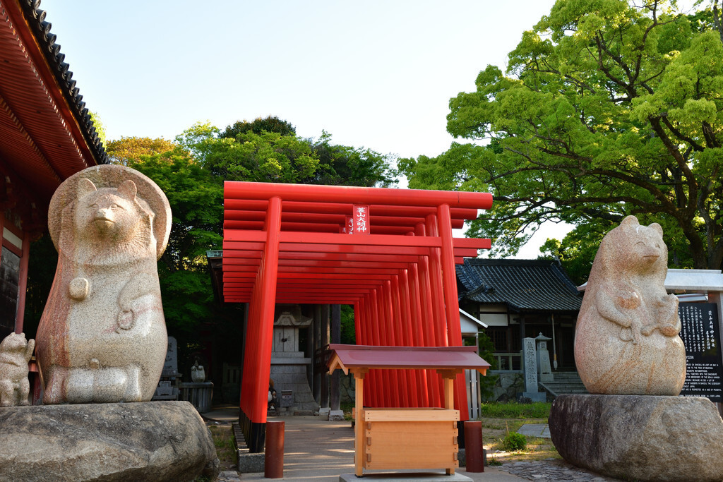 「屋島寺」で2人の縁結び祈願♡2498771