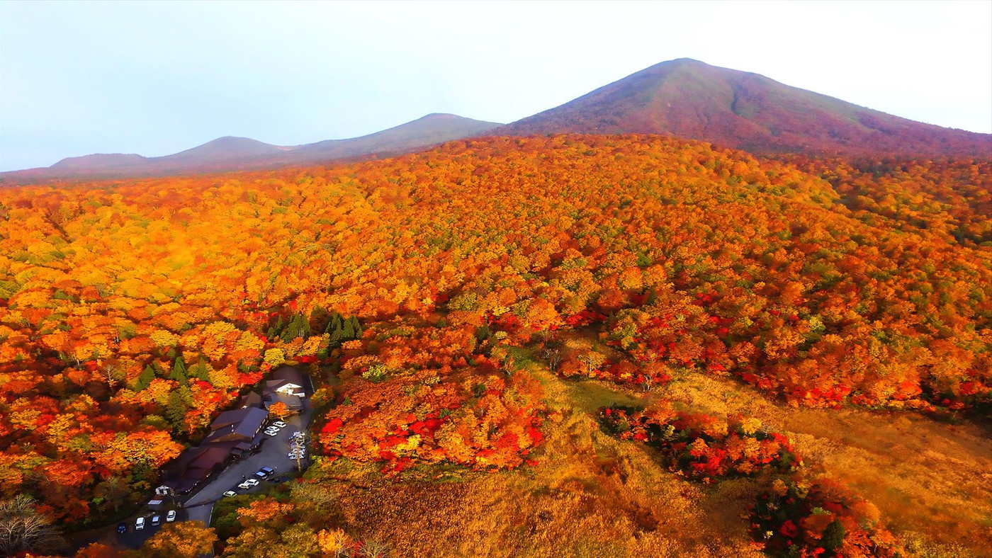 秘湯と岩魚料理とを楽しむ、大自然に囲まれた一軒宿3647368