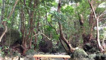 施設の敷地 / 22