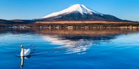 【全国】お散歩しながら絶景三昧！自然派女子におすすめの“一人旅スポット”5選