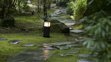 施設からの眺望 / 19