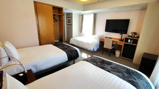 RAMデラックスルーム 禁煙 / スウェーデン製ベッド (大人3名利用時のみシングルソファーベッド1台が付きます)