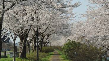 施設からの眺望 / 28