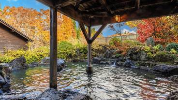 メイン イメージ / 1