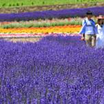 2人で過ごす贅沢なひと時。カップルで泊まりたい北海道のおすすめホテル11選