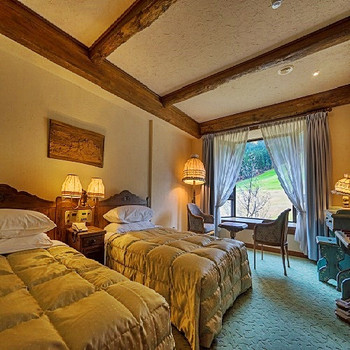 スイスシャレー風の山岳リゾートステイで心を解きほぐす4036239