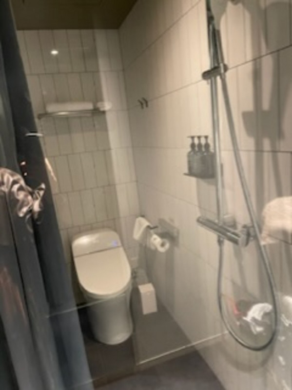 トイレとシャワーはカーテンで仕切ります。