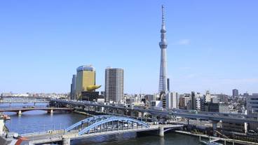 施設からの眺望 / 17