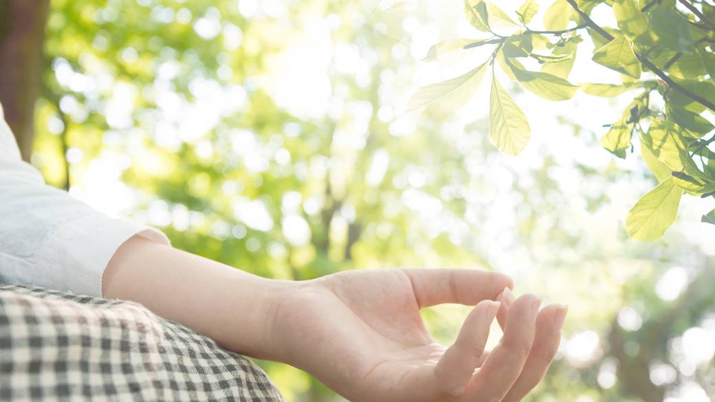 フォレストヨガ（春夏） / 3