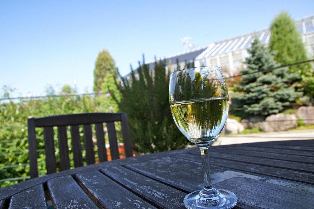 ワインをとことん楽しもう!818245