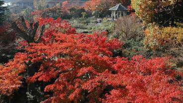 施設からの眺望 / 7