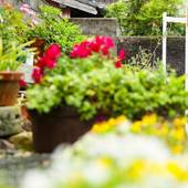 一棟貸ゲストハウス 心結（和歌山県 コテージ・ロッジ・一棟貸） / 2