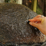 願いが叶う「願い石・叶い石」とは?島根「玉作湯神社」で縁結び
