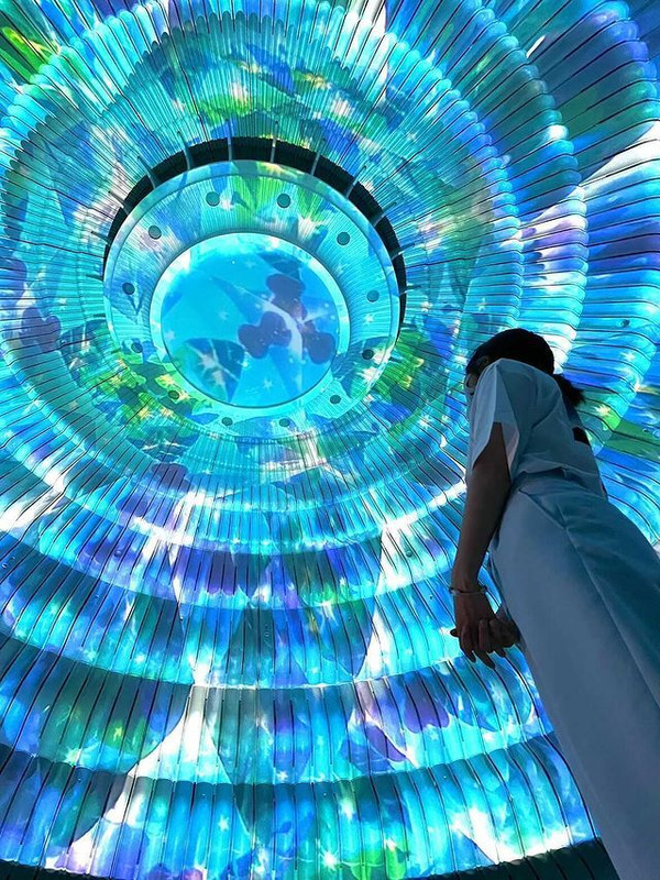 damedayo_さんの写真 / 1