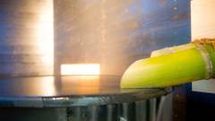 かわもと別邸3466