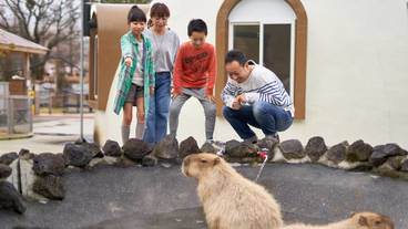 子供用の遊び場 - 屋外 / 29