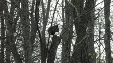 施設の敷地 / 25