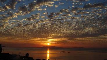 施設からの眺望 / 29