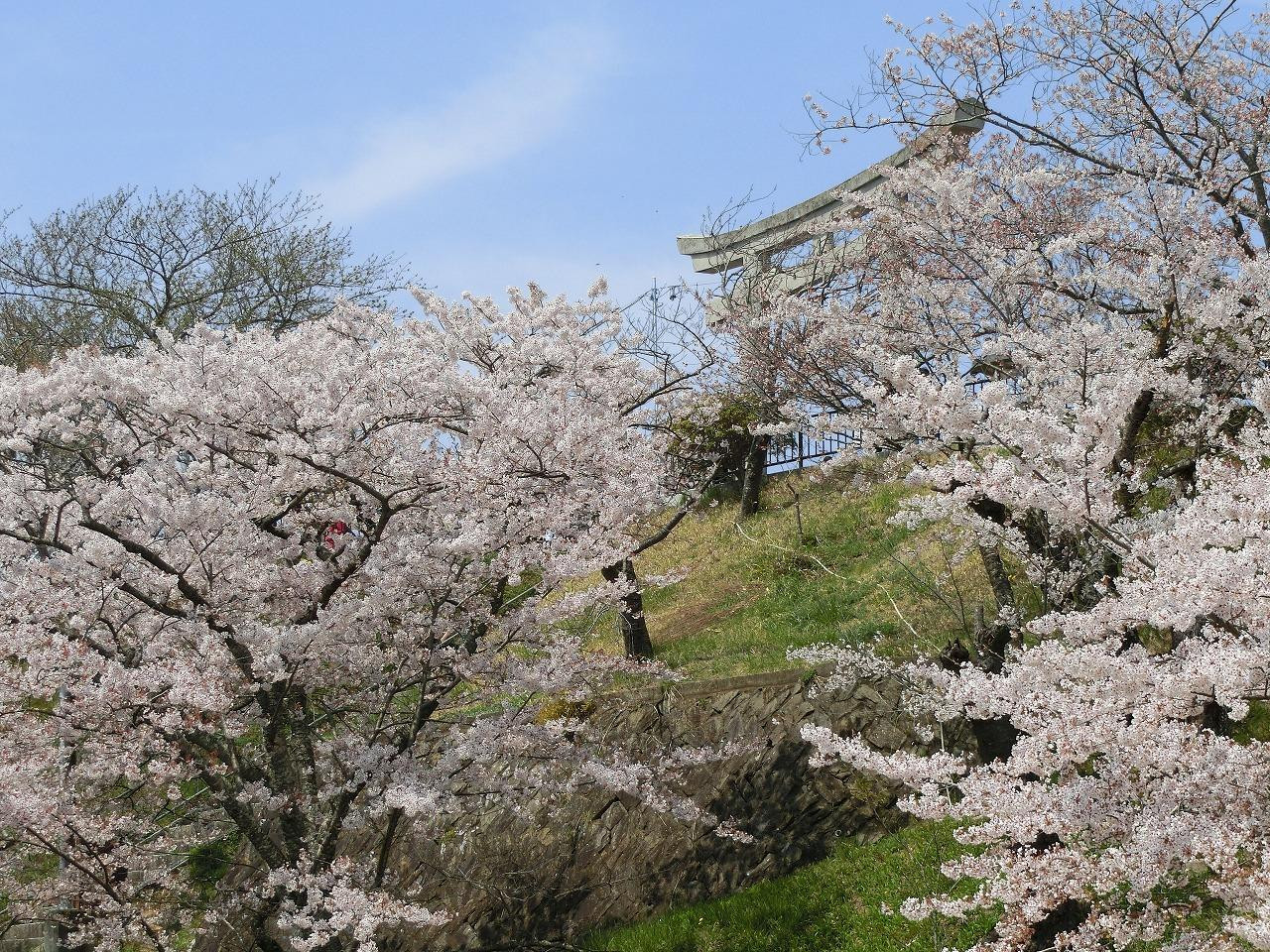 5.日和山公園1559231