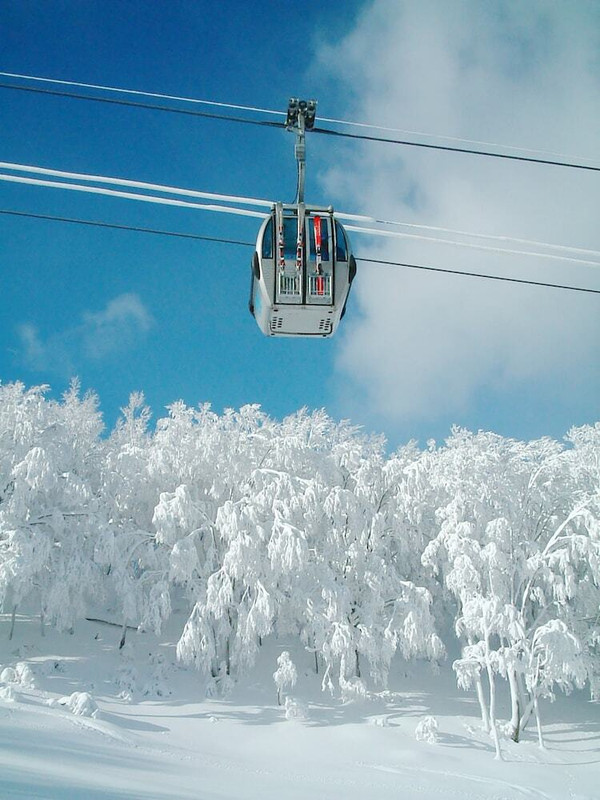 スノー スポーツとスキー