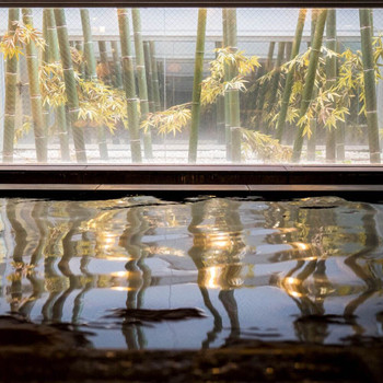 朝食もお部屋も温泉も！人にも地球にもやさしいホテル♪3955332