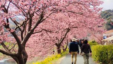 施設の敷地 / 17