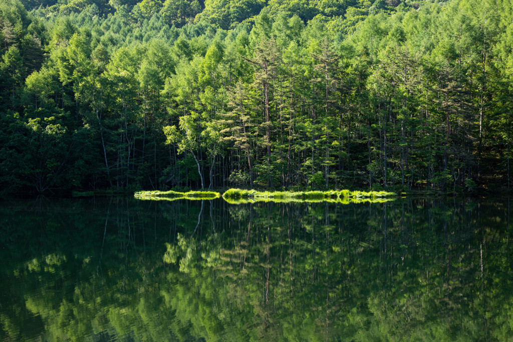 長野県の爽やかなリゾート「蓼科高原」3709248