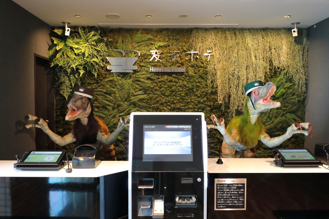 ロボットによる接客が近未来！寝心地バツグンのベッドで疲れを撃退3915560