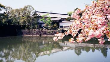 観光スポット / 4