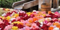 【全国】お姫様気分になれる優雅な時間を。バラ風呂があるホテル10選