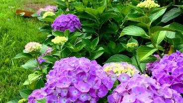 施設からの眺望 / 9