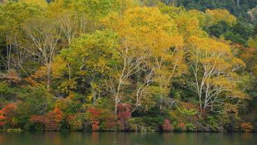 ランド ビュー / 13