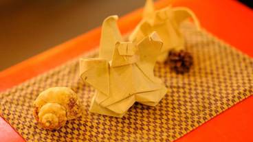 内装の詳細 / 26