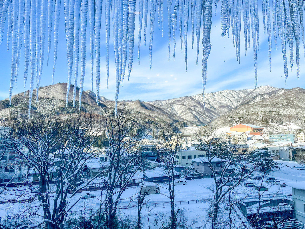 mii_akkunさんの写真 / 2