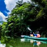 ジャングル探検にカヌー、自然のプール！子どもと西表島でやりたい10のこと