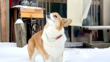 施設内の設備 / 7