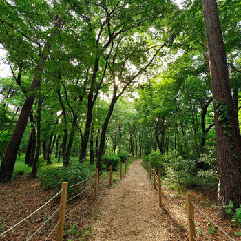 森に囲まれたロケーションで、心安らぐリゾートステイ3489655