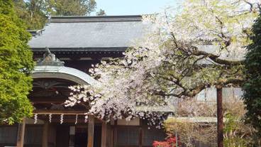 観光スポット / 38