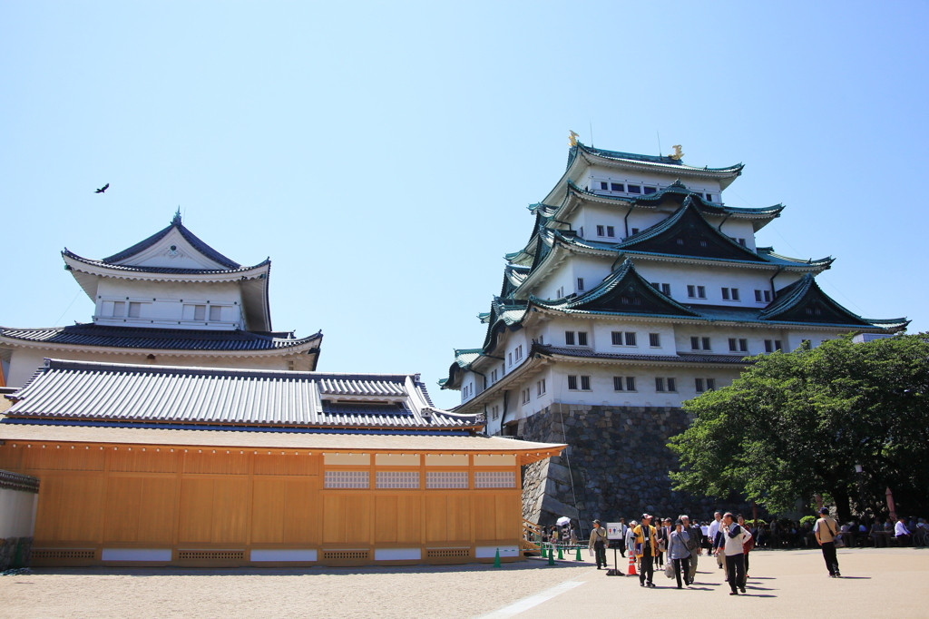 本丸御殿が公開され、盛り上がる名古屋城781485