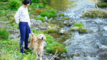 施設の敷地 / 10