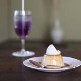 冬夏青青(トウカセイセイ)