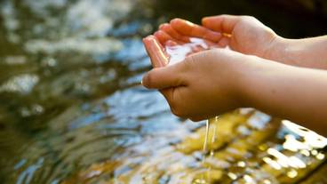 バスルーム / 16