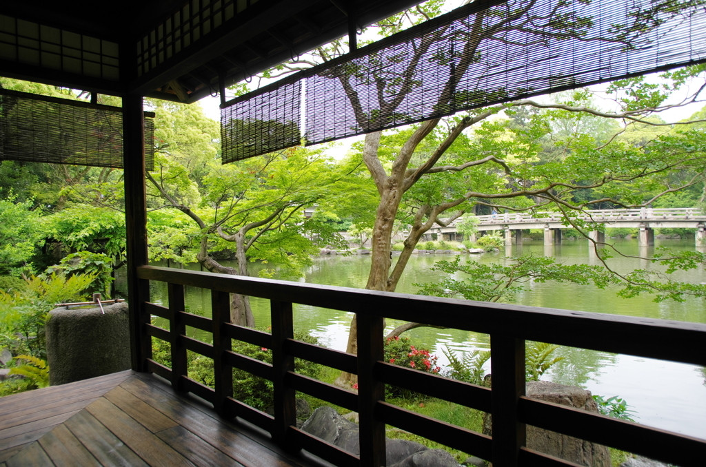 当時の皇族に倣って優雅な気分に♪「京都御所/京都御苑」1641335
