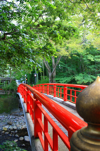 To Shuzenji, which is attractive with nature and a calm atmosphere2312341