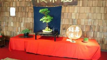 メイン イメージ / 1